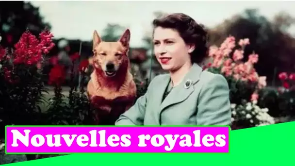 Le secret du mariage de la reine: comment le premier amour Susan the Corgi a été passé en contreband