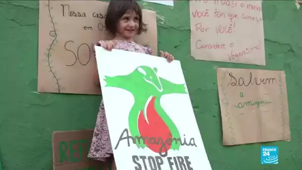 Incendies en Amazonie : le Brésil se mobilise