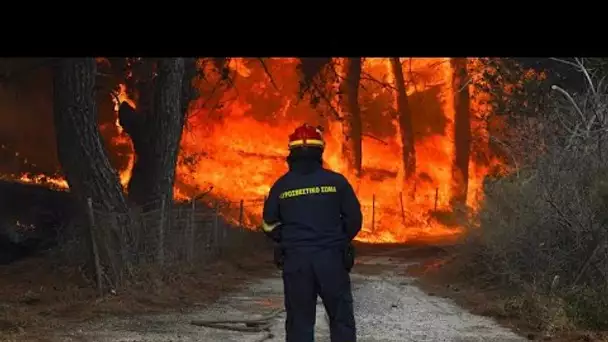 Soumise à des chaleurs extrêmes et au manque de pluie, l'Europe fait face à d'immenses incendies