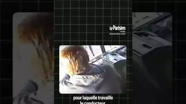 Le conducteur d'un bus fait un malaise, un passager évite le crash