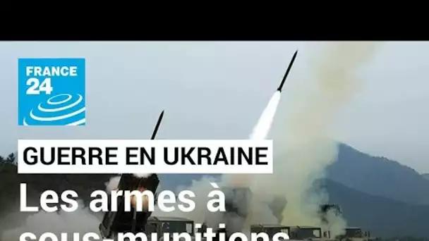 L'armée russe utilise-t-elle des armes interdites par la convention internationale ? • FRANCE 24