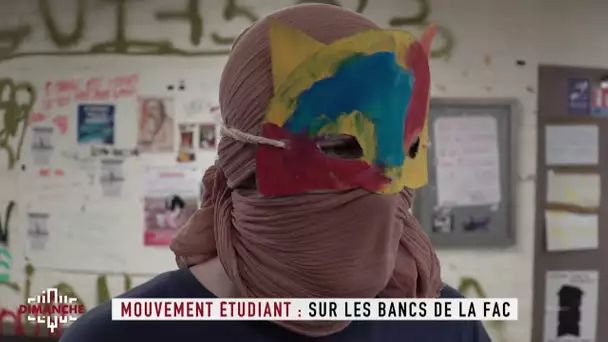 Mouvement étudiant: sur les bancs de la Fac - Clique Dimanche du 15/04 - CANAL+