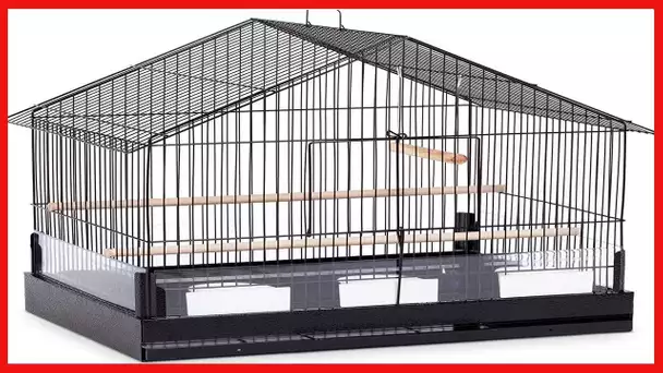 Prevue Pet Products Lincoln Bird Cage, Black, 22 x 15 x 23 inches (110B)