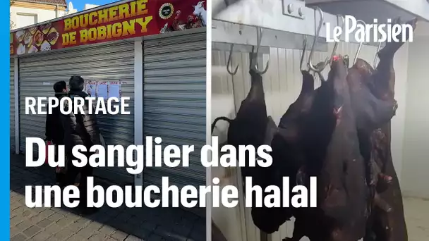 « On n’est pas respectés ! » : des sangliers retrouvés dans une boucherie halal du 93