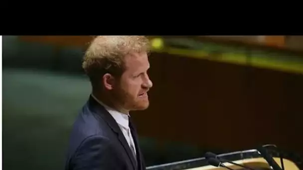 Le discours du prince Harry "manquait de beaucoup de substance" car Duke a raté une grande opportuni