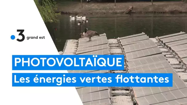 Des parcs de panneaux solaires flottants en Alsace