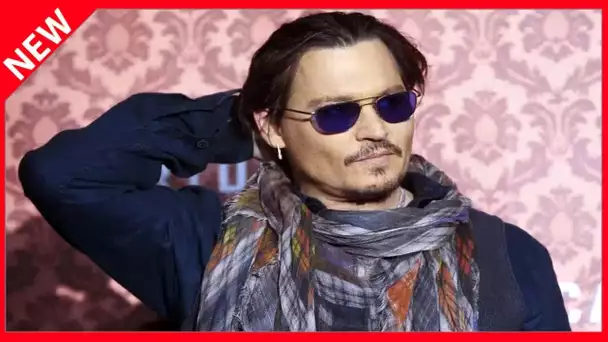 ✅  Johnny Depp confiné près de Saint-Tropez : un vrai village pour lui tout seul !