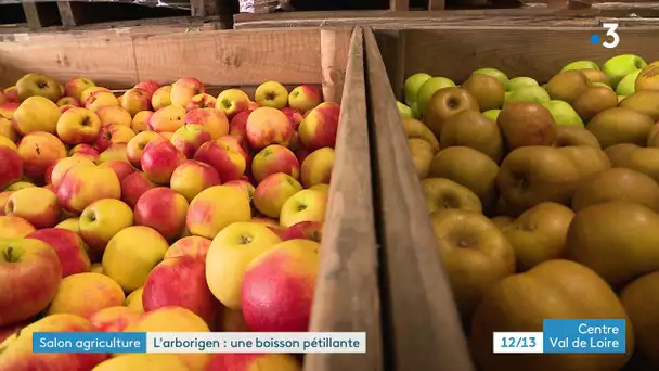 Loiret : une boisson pétillante et alcoolisée à base de pomme