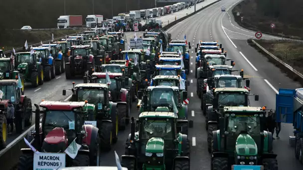 Les agriculteurs roulés dans la farine par le gouvernement et les LR doivent-ils s'attendre à un …