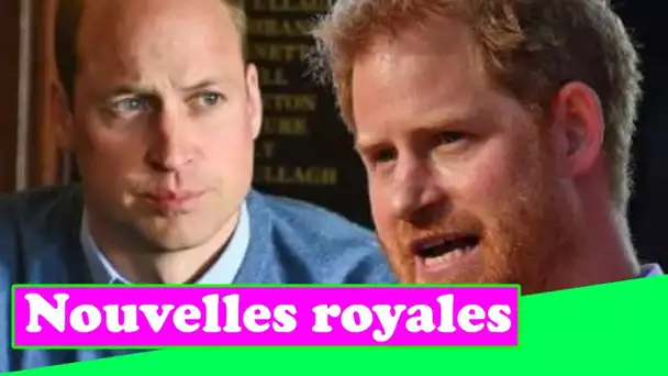 Les mémoires du prince Harry devraient dévoiler des "détails explosifs" et des "informations sur Wil