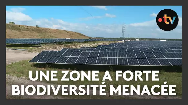 Une zone à forte biodiversité menacée