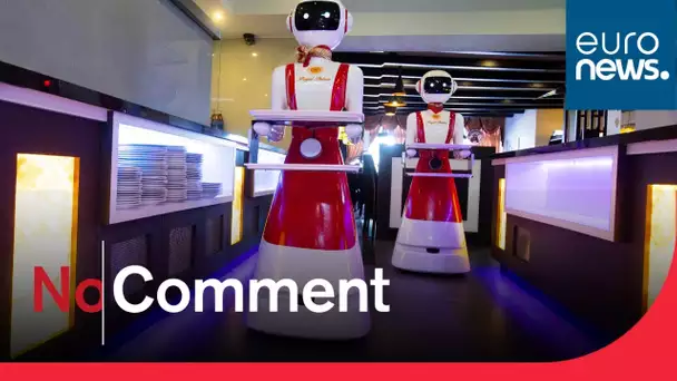 Dans ce restaurant néerlandais 2.0, des robots remplacent les serveurs