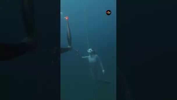 Les images incroyables de la flamme olympique sous l'eau