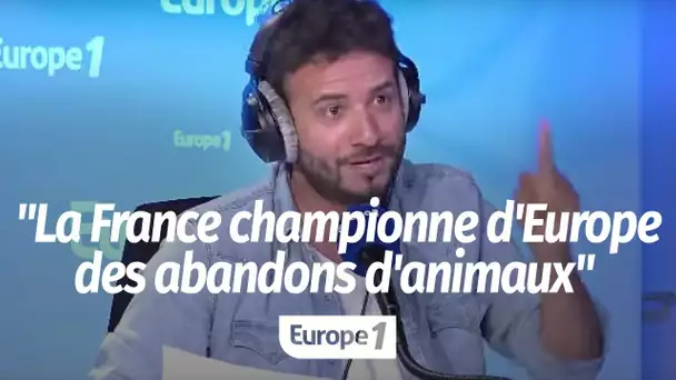 Laurent Barrat : "La France est championne d'Europe... des abandons d'animaux domestiques"