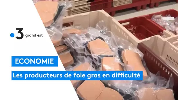 Les producteurs de foie gras ne sont pas à la fête