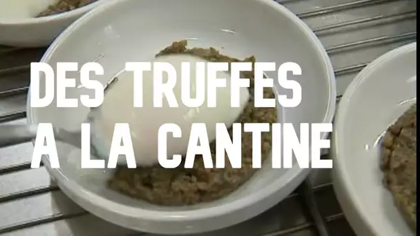 Aude : des truffes à la cantine du collège de Lézignan-Corbières