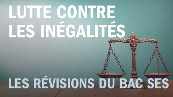 Les révisions du bac ES : la lutte contre les inégalités - Entendez-vous l&#039;éco ?