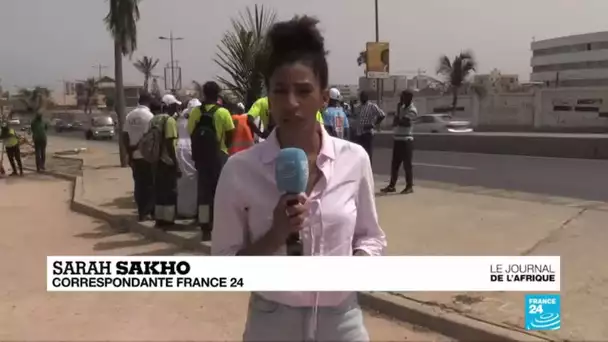 Ecolibri, l'initiative sénégalaise pour reboiser le littoral