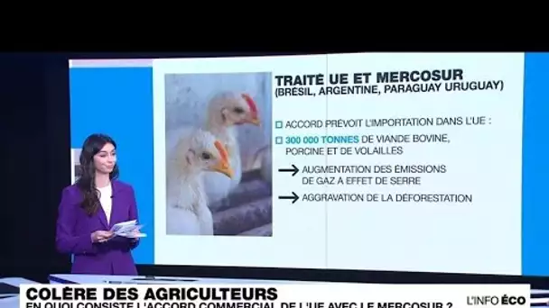 Crise agricole : en quoi consiste l'accord entre l'UE et le Mercosur ? • FRANCE 24