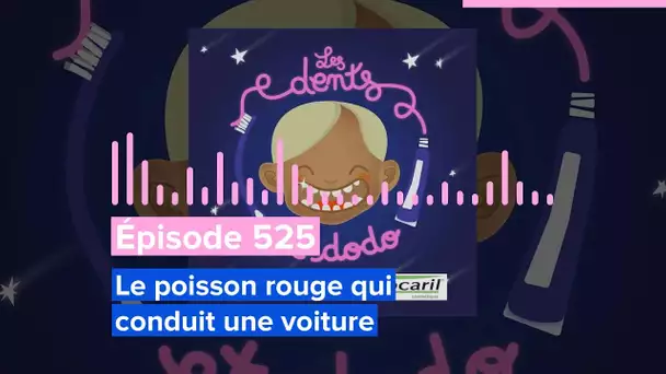 Les dents et dodo - Épisode Épisode 525 : Le poisson rouge qui conduit une voiture