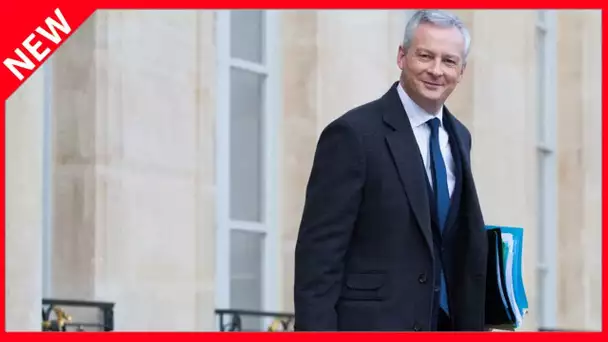 ✅  Bruno Le Maire tacle « la politique de l'autruche » face à Apolline de Malherbe