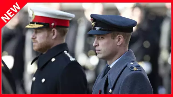 ✅  Le temps presse : Harry et William n'ont plus que 5 mois pour se réconcilier