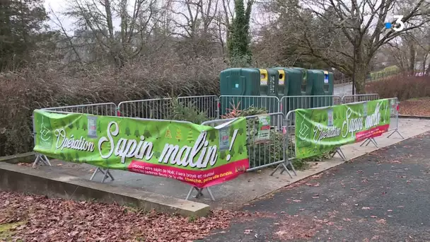 Recyclage des sapins de Noël à Uzerche