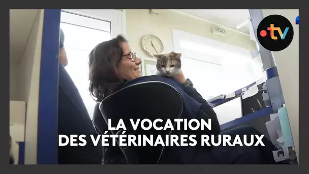 Feuilleton 4/4 : la vocation des vétérinaires ruraux