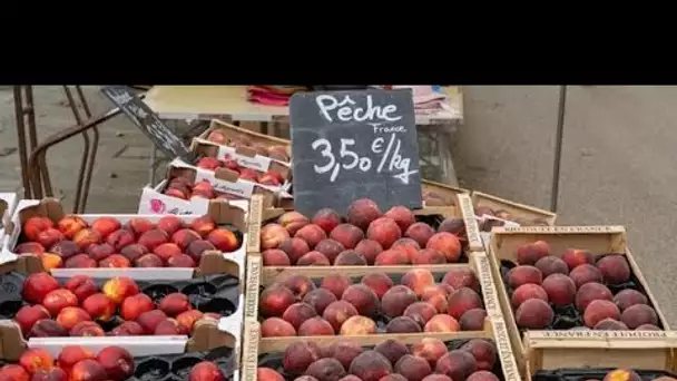 Canicule : sur les marchés de Lyon, les commerçants s'adaptent pour protéger leurs produits de la…