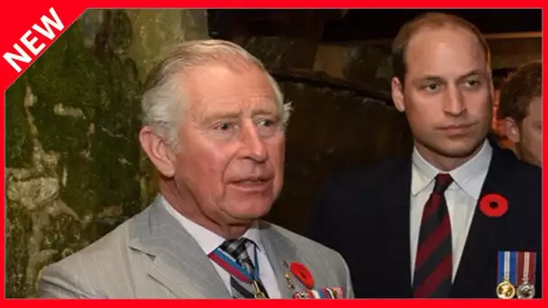 ✅  Pourquoi le prince Charles n’abdiquera jamais en faveur de son fils William