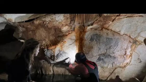 Au large de Marseille, la grotte Cosquer : 20 000 ans sous les mers • FRANCE 24