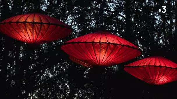 Balade nocturne au zoo d'Amiens pour découvrir le site en lumière