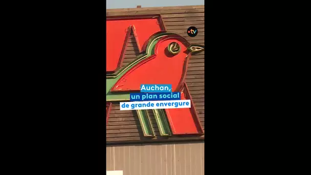 Auchan, un plan social d'envergure