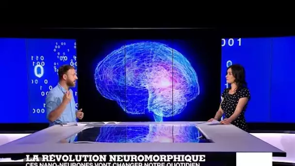 Nano-neurones, maxi effets !