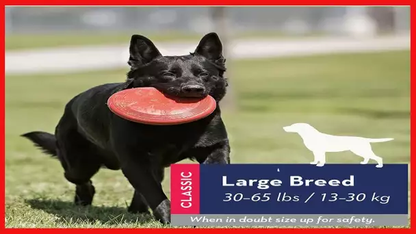 KONG - Flyer - Durable Rubber Flying Disc Dog Toy - for Large Dogs