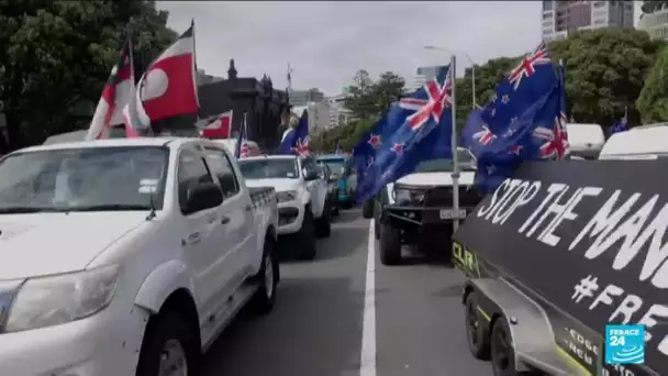 Nouvelle Zélande : des chauffeurs anti-vax bloquent le Parlement à Wellington • FRANCE 24