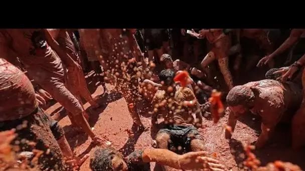 La tomatina, bataille géante de tomates !