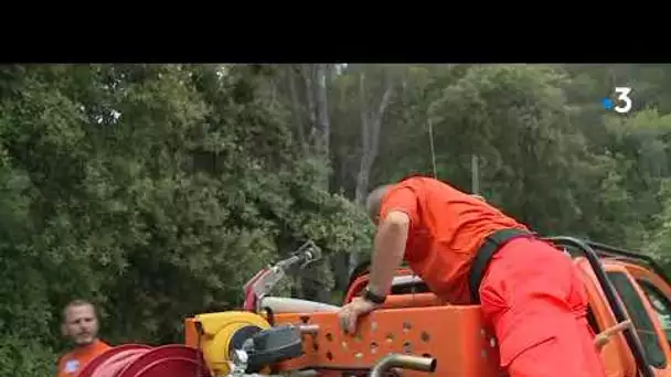 Ce lundi 3 août, le massif forestier des Monts toulonnais est en risque incendie extrême.