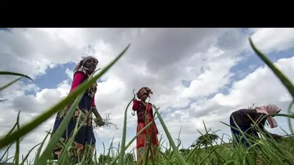 Ethiopie : tournant majeur dans le conflit au Tigré