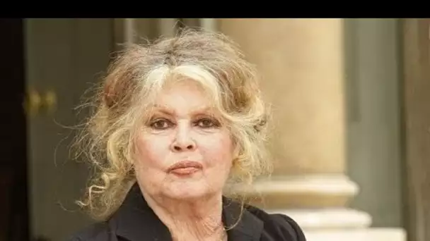 Brigitte Bardot accorde son soutien à Éric Zemmour pour les présidentielles, "une...