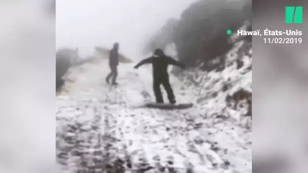 À Hawaï, ce parc national a été recouvert de neige pour la première fois