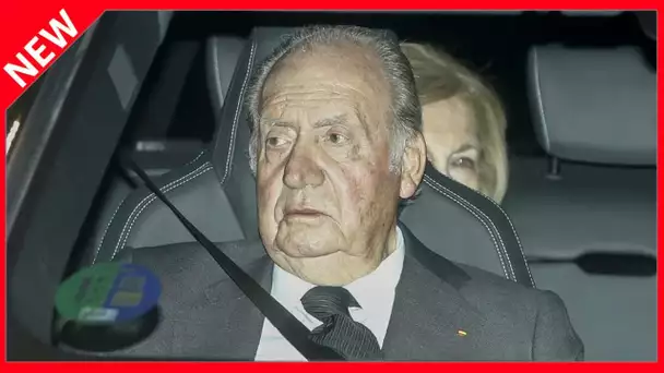 ✅  « Une santé d'ours » : Juan Carlos dément fermement être à l'article de la mort