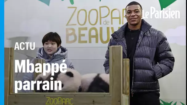 Huanlili et Yuandudu, les pandas du zoo de Beauval, baptisés en présence de Kylian Mbappé