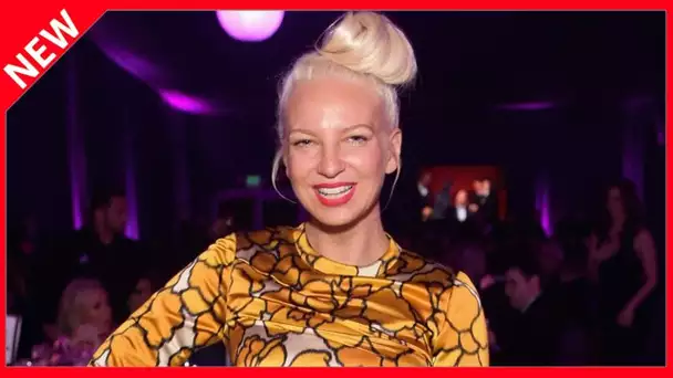 ✅  La chanteuse Sia grand-mère à 44 ans : « Je sais, c'est fou ! »