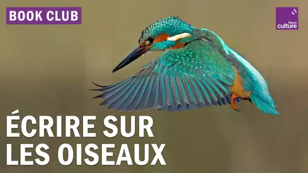 Écrire sur les oiseaux pour mieux les protéger