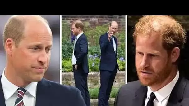 William et Harry "se sépareront" car la réconciliation est "douteuse"