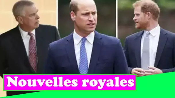 Le prince William a géré la rupture avec Harry et le "problème" d'Andrew "très bien" expert