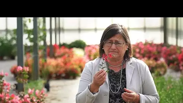 "Mangez des fleurs pour aider votre corps à rester jeune"