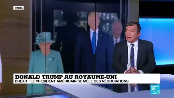 Trump "se mêle de la politique intérieure" du Royaume-Uni