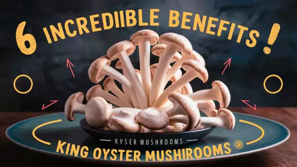 🍄 Découvrez 6 Bienfaits Surprenants des Champignons King Oyster !